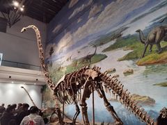 -自贡恐龙博物馆