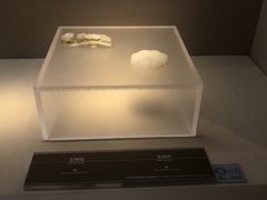 -嘉定博物馆