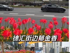 -美罗城