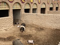 -包头古城文化旅游区