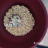 下次試試看國台麵還有美台麵或者中美麵