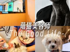 -半岛宠物医院24小时·内窥镜·牙科·碎石中心(府城大道店)