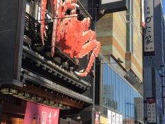 蟹将军-蟹料理 北海道かに将軍(札幌本店)