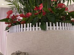 -LANN I 蘭 SPA(陆家嘴中心店)