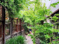 -The Grounds of Alexandria