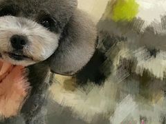 -多卡布奇宠物生活馆(上林世家店)
