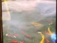 -故乡缘·香格里拉山庄(冷竹路店)