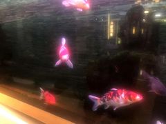 -浣溪沙富硒温泉