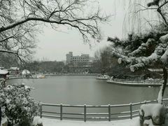 -莲湖公园
