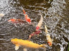 -Ohkajhu Organic Farm Sansai