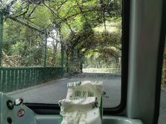 -杭州野生动物世界