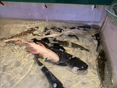 -咱屯子铁锅炖直营店(保利店)