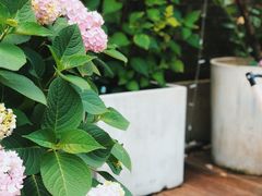 -边渡咖啡烘焙店(昙华林店)
