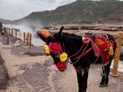 -陕西黄河壶口瀑布旅游区