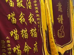 -御宝贝24h宠物医院·转诊中心·CT核磁血透中心(厦门总院)