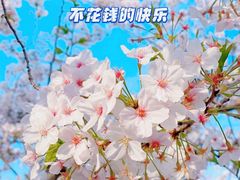 -龙美术馆(西岸馆)