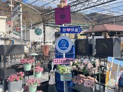 -京北渔家傲