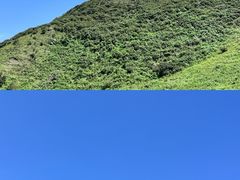 -乌蒙大草原