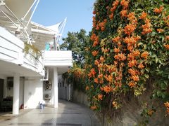 景点-白鹭洲公园