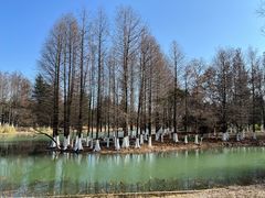 -阳澄湖费尔蒙酒店