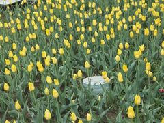 -长春公园(普阳街道)