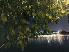 -湖畔居茶楼(湖滨店)