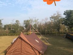 -春花秋色城市公园