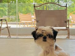 -J Create城市露营咖啡·简餐·宠物(上海动物园店)