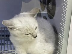 -安安宠医·安宠宠物医院