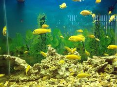 -泉州海丝野生动物世界