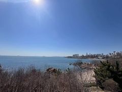 -青岛海滨风景区