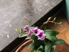 -南堂馆·新川菜(春熙路店)