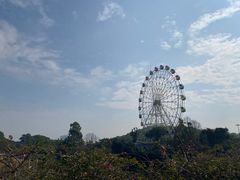 -观澜湖生态运动公社