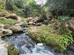 -红山村