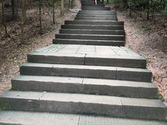 -凤栖山