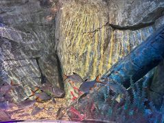 -沈阳海洋探索中心