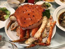 -沈阳新都绿城喜来登酒店·宴会厅