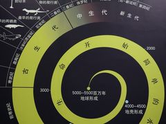 -中国西峡恐龙遗迹园