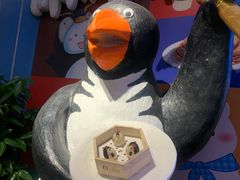 -帝企鹅自助餐厅•儿童岛•真企鹅(长隆企鹅酒店)