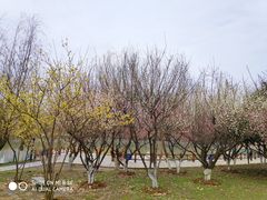 -武汉交通职业学院
