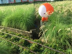 -广州花之恋城堡酒店