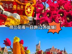 -荷兰花海