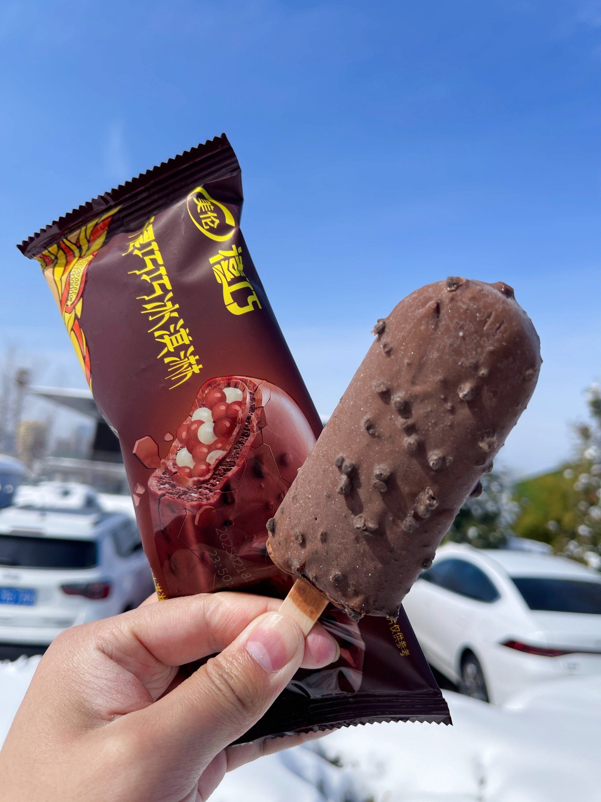 我宣布!美伦千层巧巧就是雪天最棒cp