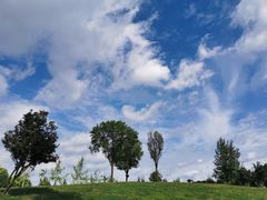 -两河城市森林公园