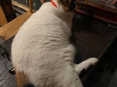 -江湖边·小生活