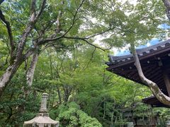 -常寂光寺