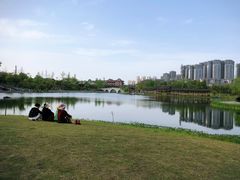 -眉山湿地公园(东坡区)