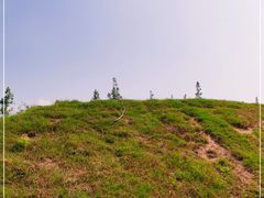 -前小桔亲子创意农场·草莓采摘·露营烧烤