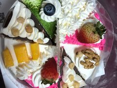-维尔纳斯·生日蛋糕·动物奶油冰淇淋蛋糕(雨花店)