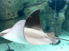 -珠海长隆海洋王国